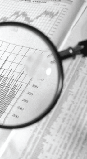 Duyduy forex